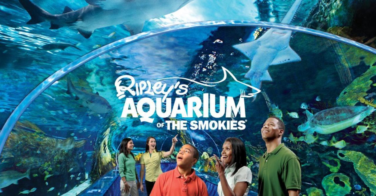 개틀린버그 Smoky Mountain Views 빌라 외부 사진